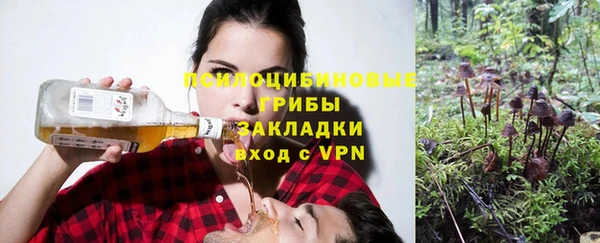 бошки Армянск