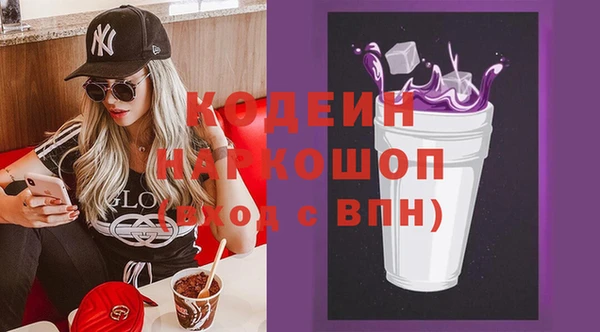 индика Каменск-Шахтинский